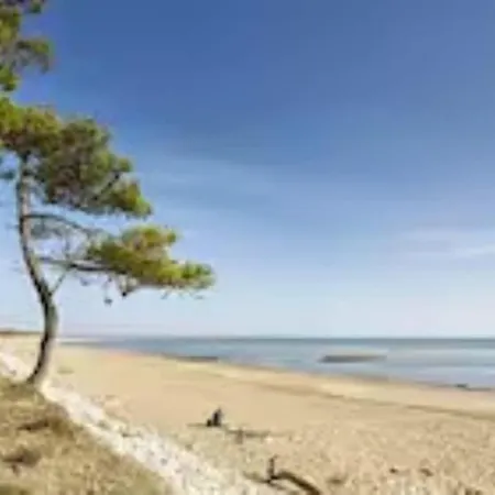 Villa Albert * 滨海隆热维勒